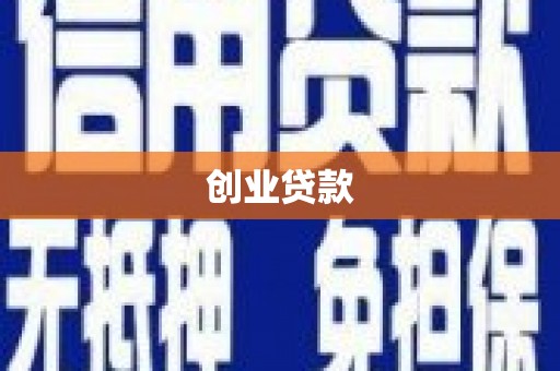 田中创业贷款