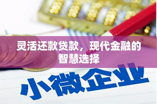 田中灵活还款贷款，现代金融的智慧选择