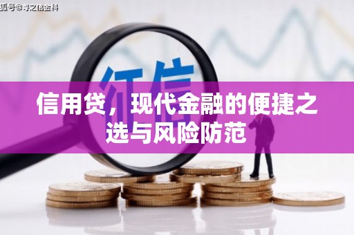 田中信用贷，现代金融的便捷之选与风险防范