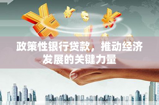 田中政策性银行贷款，推动经济发展的关键力量