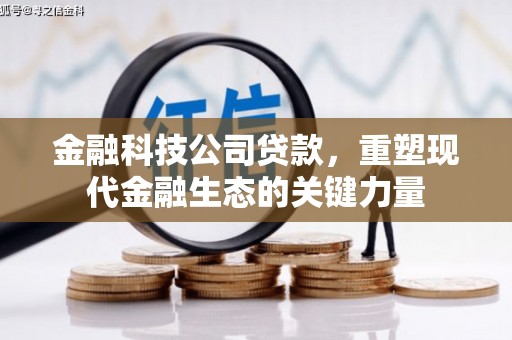 田中金融科技公司贷款，重塑现代金融生态的关键力量