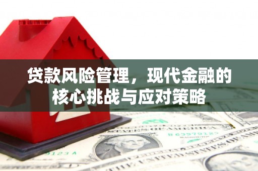 田中贷款风险管理，现代金融的核心挑战与应对策略