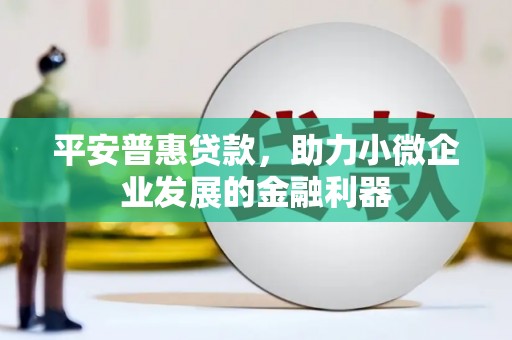 田中平安普惠贷款，助力小微企业发展的金融利器