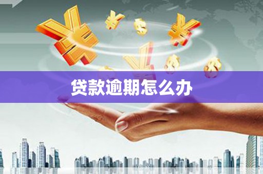 田中贷款逾期怎么办