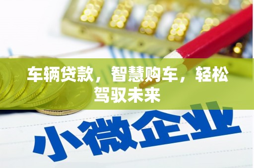 田中车辆贷款，智慧购车，轻松驾驭未来