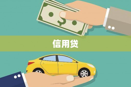 田中信用贷