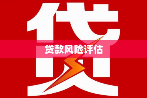 田中贷款风险评估