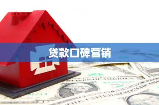 田中贷款口碑营销