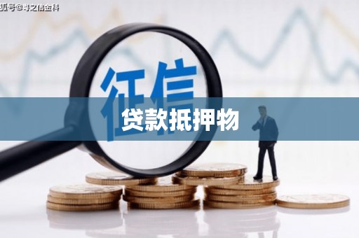 田中贷款抵押物