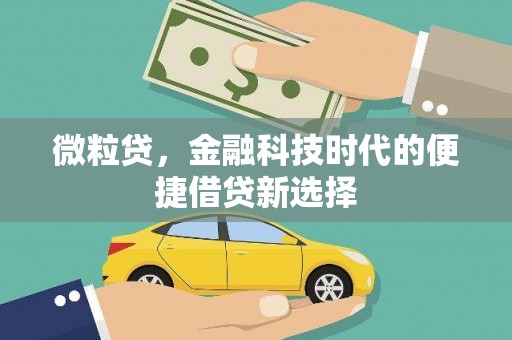 田中微粒贷，金融科技时代的便捷借贷新选择