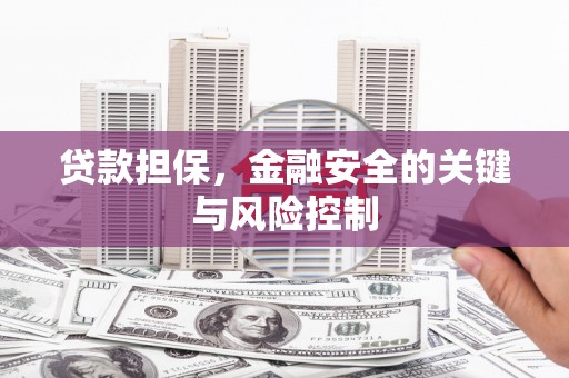 田中贷款担保，金融安全的关键与风险控制