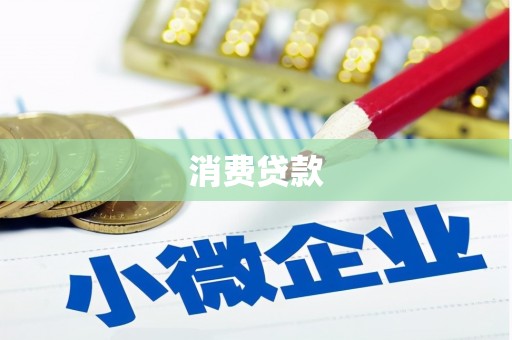田中消费贷款