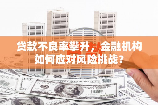 田中贷款不良率攀升，金融机构如何应对风险挑战？