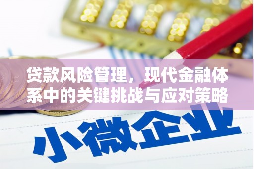 田中贷款风险管理，现代金融体系中的关键挑战与应对策略