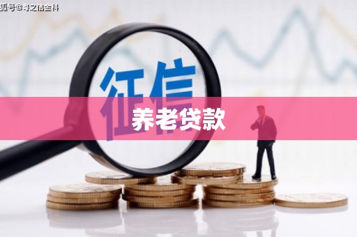 田中养老贷款