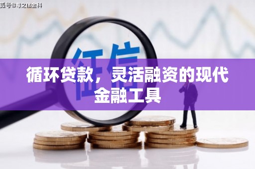 田中循环贷款，灵活融资的现代金融工具