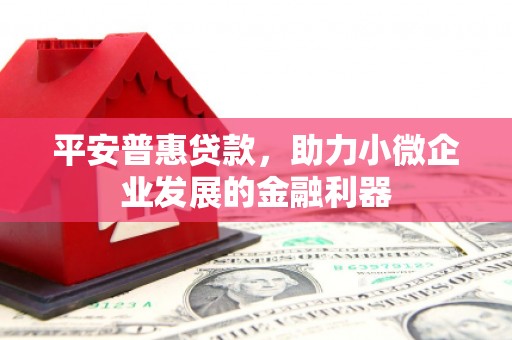 田中平安普惠贷款，助力小微企业发展的金融利器