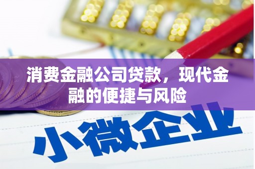 田中消费金融公司贷款，现代金融的便捷与风险