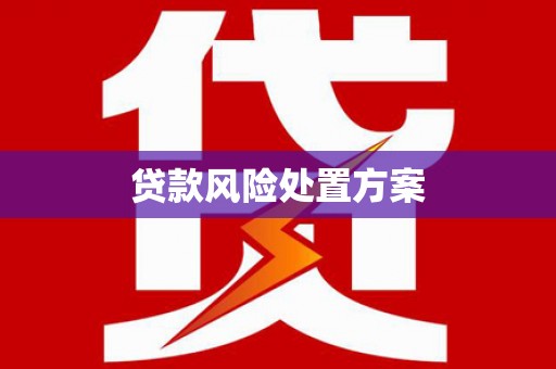田中贷款风险处置方案