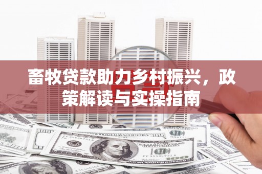 田中畜牧贷款助力乡村振兴，政策解读与实操指南