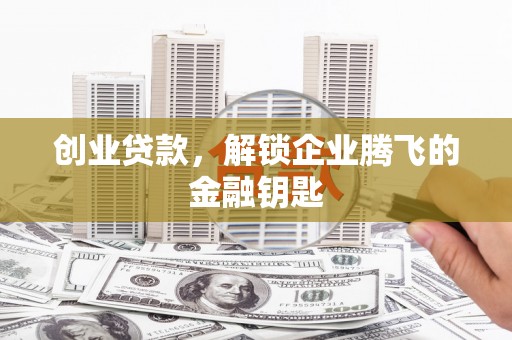 田中创业贷款，解锁企业腾飞的金融钥匙