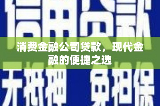 田中消费金融公司贷款，现代金融的便捷之选