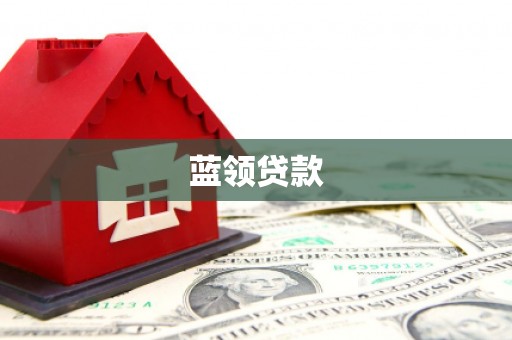 田中蓝领贷款