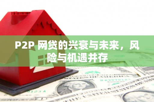 田中P2P 网贷的兴衰与未来，风险与机遇并存