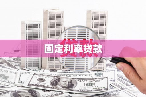 田中固定利率贷款