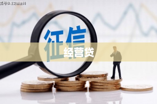田中经营贷