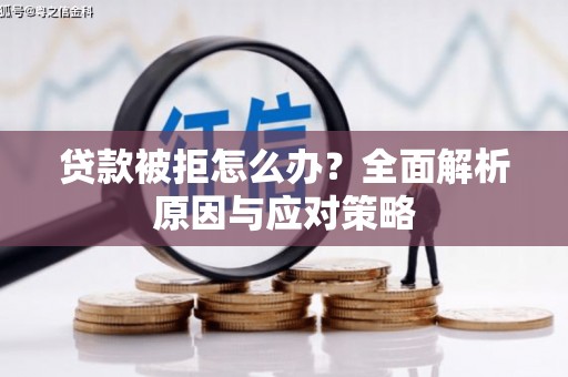 田中贷款被拒怎么办？全面解析原因与应对策略
