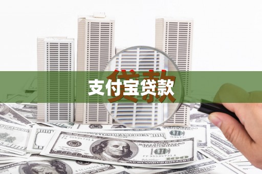 田中支付宝贷款