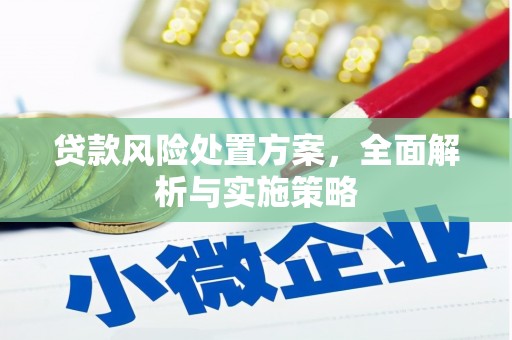 田中贷款风险处置方案，全面解析与实施策略