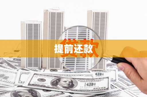 田中提前还款