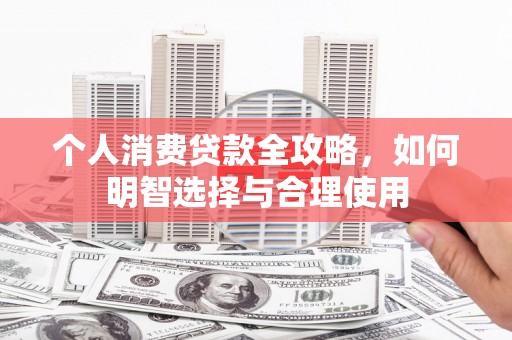 田中个人消费贷款全攻略，如何明智选择与合理使用