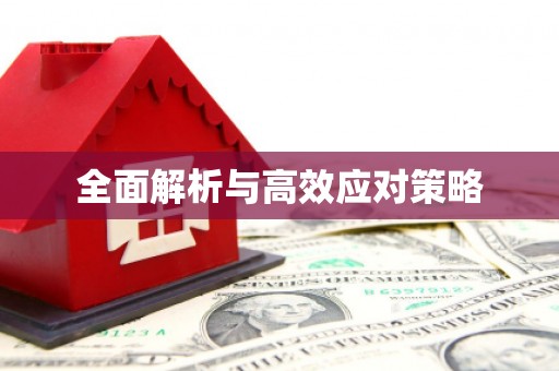 田中全面解析与高效应对策略